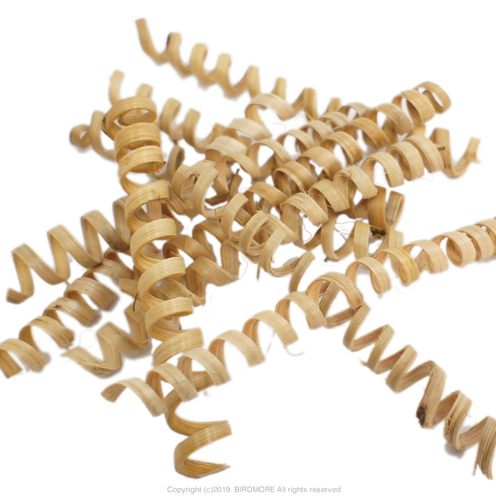 9997316【BTP】ケインスプリング 1本