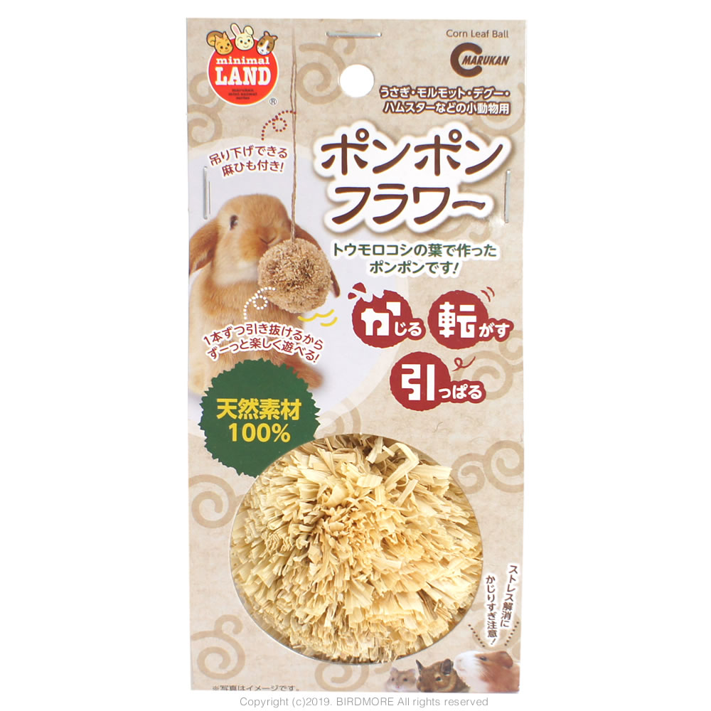 ぼんぼん丸 61tuEl5zmkL._UF350,350_QL50_.jpg