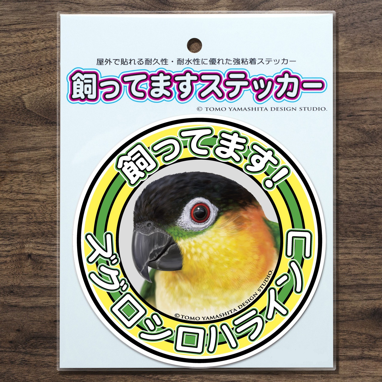 9997875【TOMO YAMASHITA DESIGN STUDIO】飼ってますステッカー ズグロシロハラインコ◆