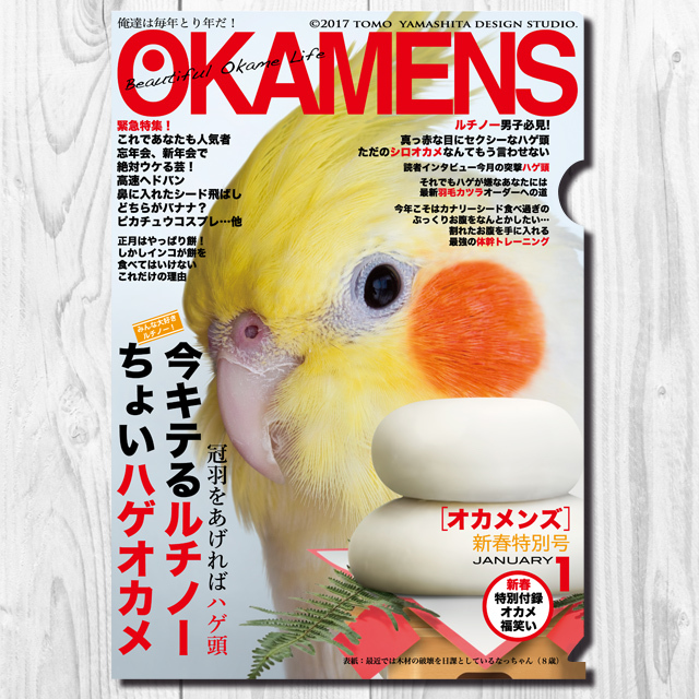 飼鳥用品専門店BIRDMORE(バードモア) / 【TOMO YAMASHITA DESIGN