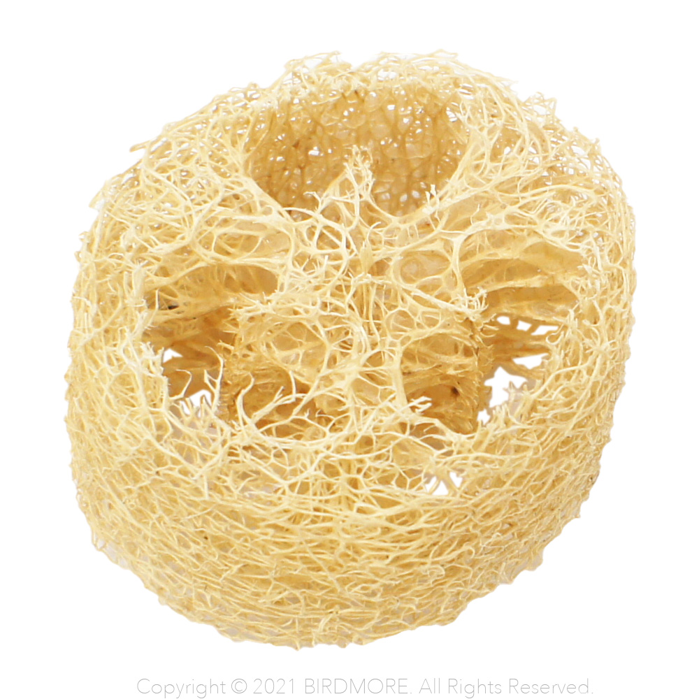 9998226【BTP】Loofa Slice 1個