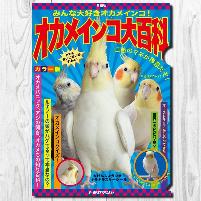 9998382【TOMO YAMASHITA DESIGN STUDIO】A4クリアファイル