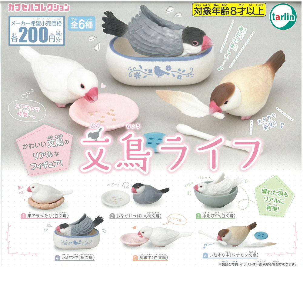 飼鳥用品専門店birdmore バードモア Tarlin 文鳥ライフ
