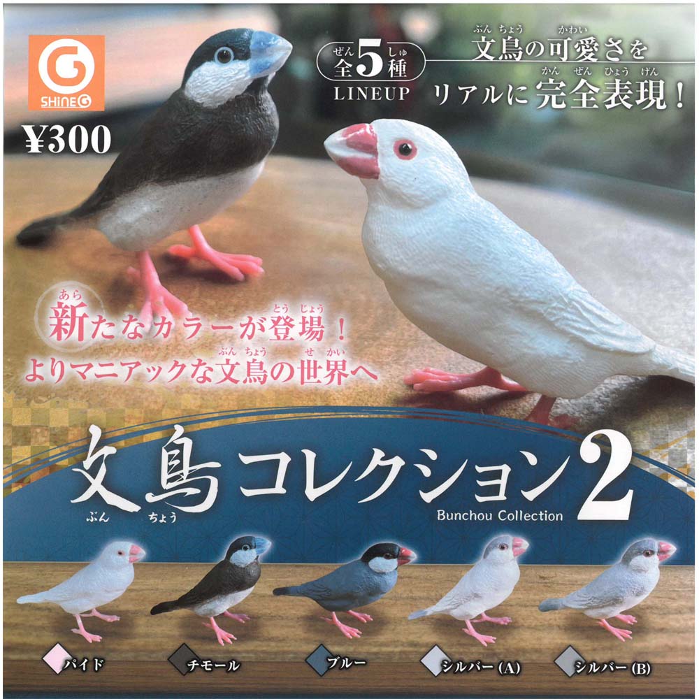 飼鳥用品専門店birdmore バードモア シャイング 文鳥コレクション2
