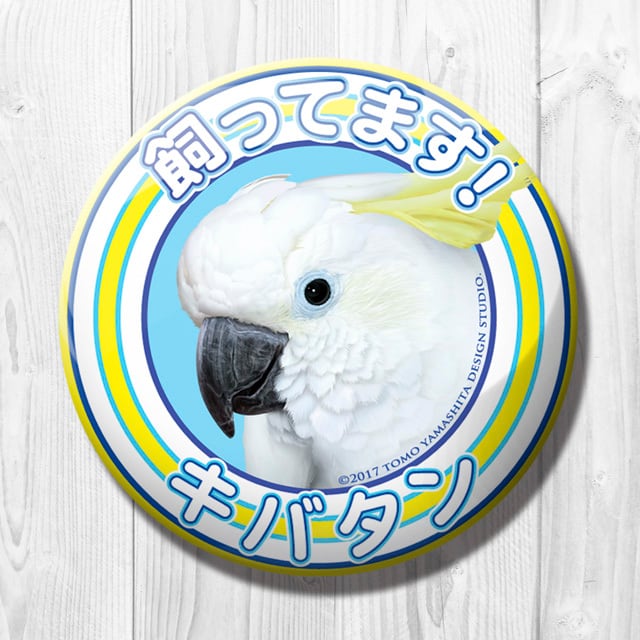 9998482【TOMO YAMASHITA DESIGN STUDIO】飼ってます缶バッジ キバタン◆