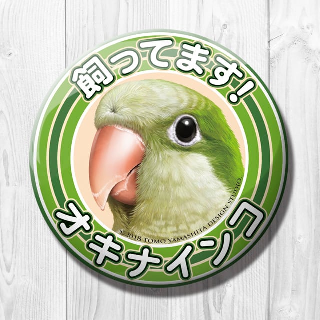 9998483【TOMO YAMASHITA DESIGN STUDIO】飼ってます缶バッジ オキナインコ◆