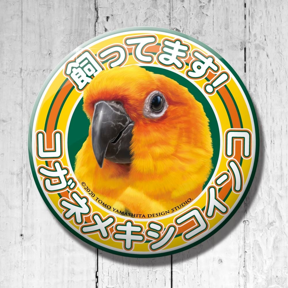9998485【TOMO YAMASHITA DESIGN STUDIO】飼ってます缶バッジ コガネメキシコインコ◆