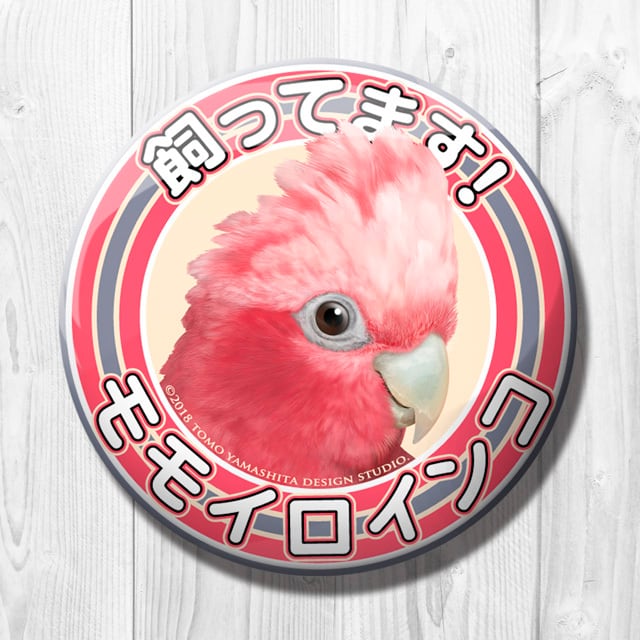 9998486【TOMO YAMASHITA DESIGN STUDIO】飼ってます缶バッジ モモイロインコ◆