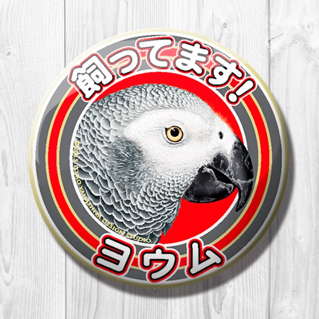 9998487【TOMO YAMASHITA DESIGN STUDIO】飼ってます缶バッジ