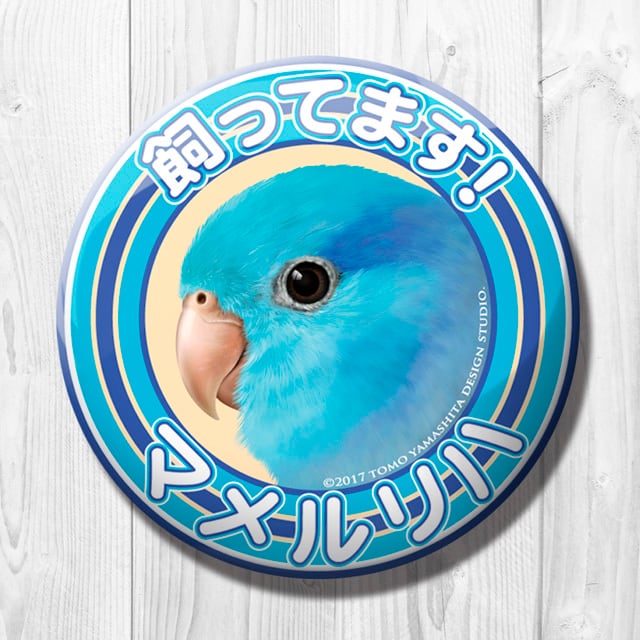 9998492【TOMO YAMASHITA DESIGN STUDIO】飼ってます缶バッジ マメルリハ◆