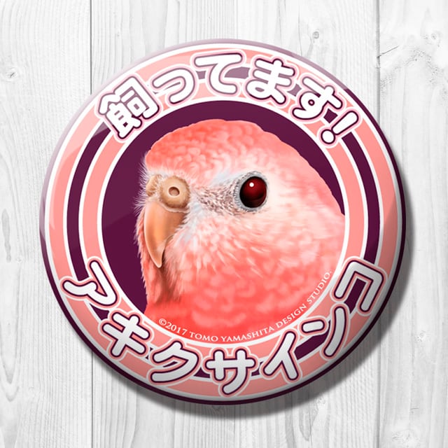 9998493【TOMO YAMASHITA DESIGN STUDIO】飼ってます缶バッジ アキクサインコ◆