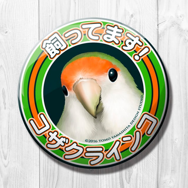 9998502【TOMO YAMASHITA DESIGN STUDIO】飼ってます缶バッジ コザクラインコ/オレンジグリーン◆