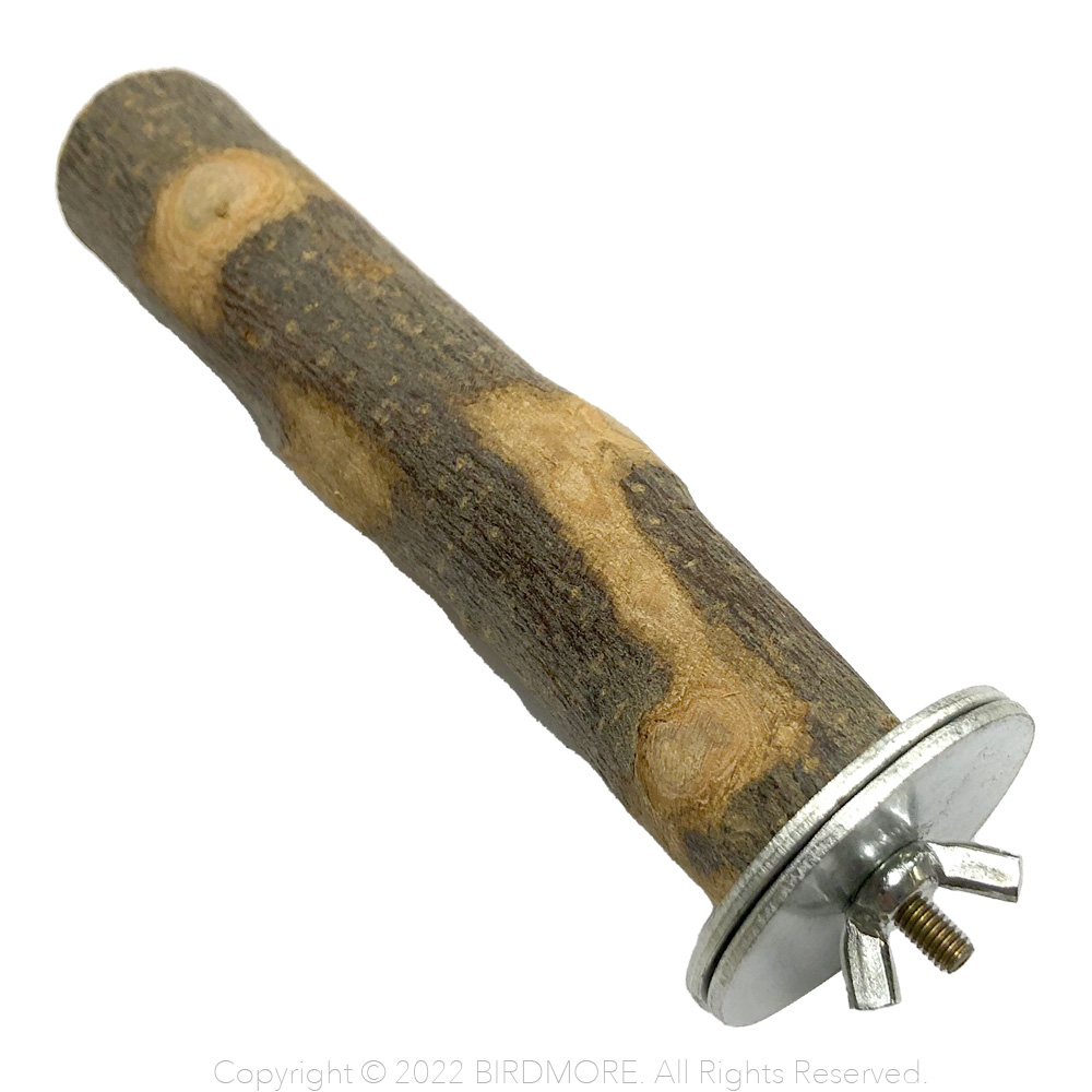 りんごまる。 marutomi-s_tsugaru-maru3