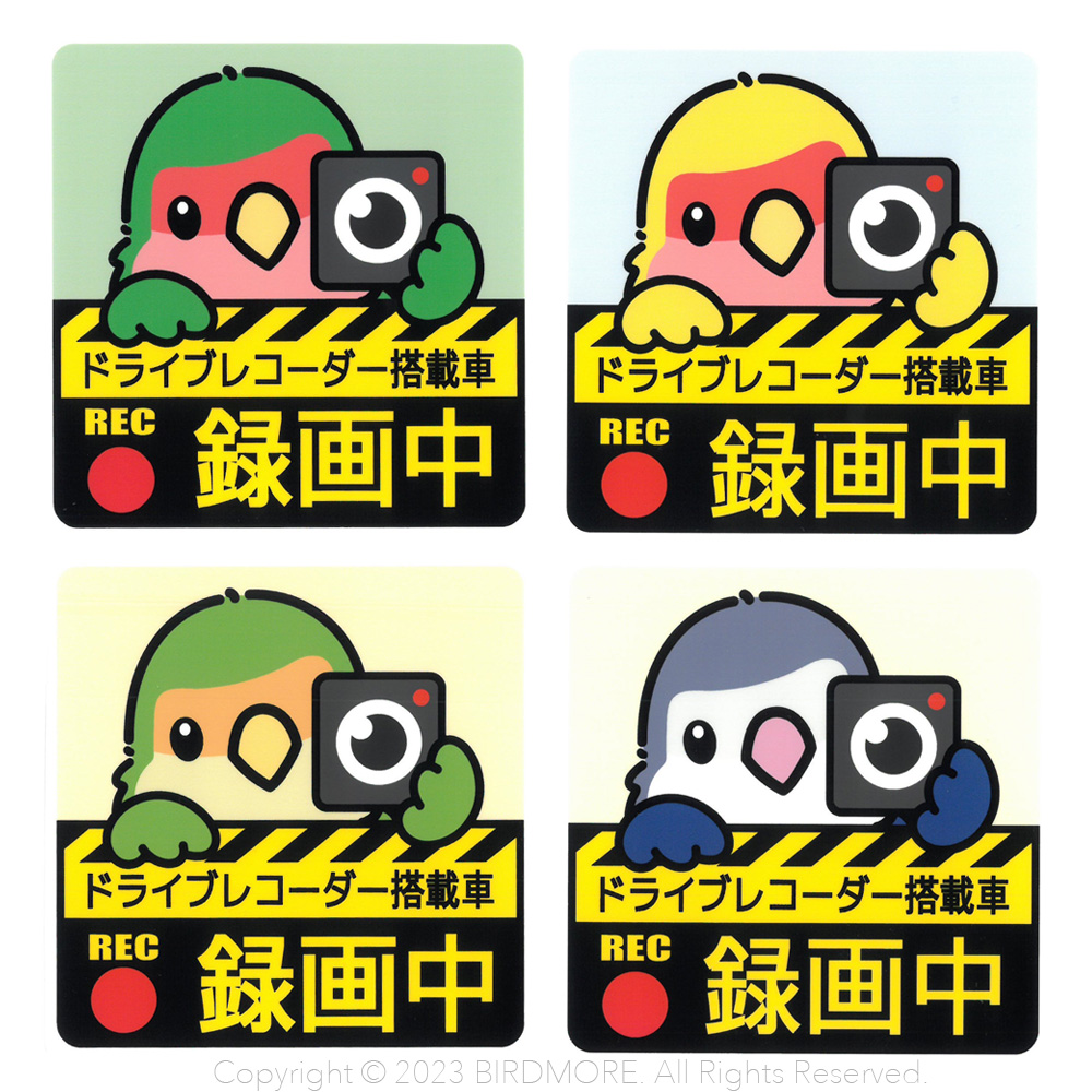 9998925【ゆとり屋】ドラレコステッカー/コザクラインコ◇ 鳥
