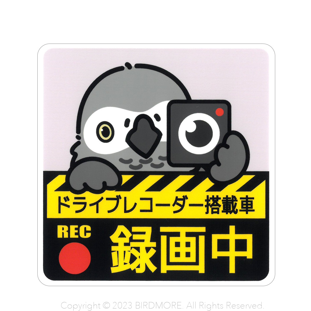 9998935【ゆとり屋】ドラレコステッカー/ヨウム◆