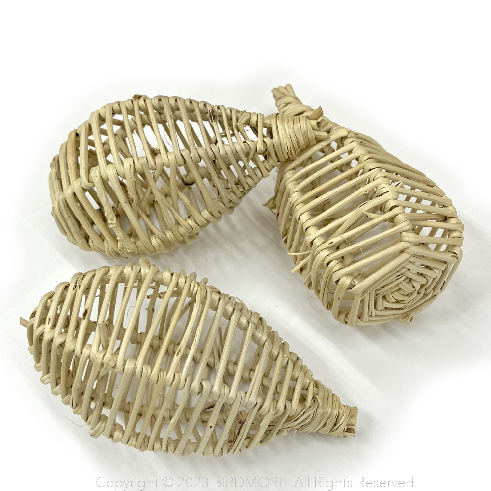 9998969【BTP】Vine Bulb 1個