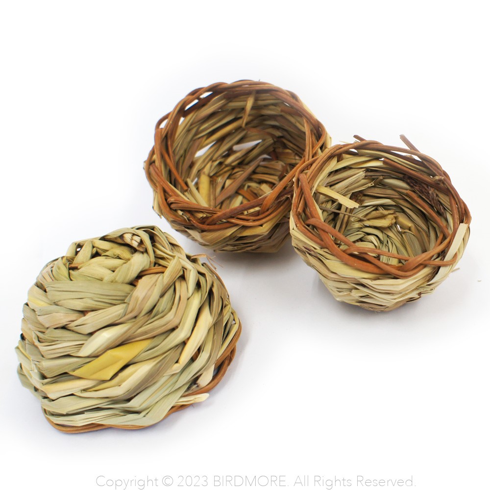 9999058【BTP】Seagrass & Vine Bowl（シーグラス＆ヴァインボウル） 1個