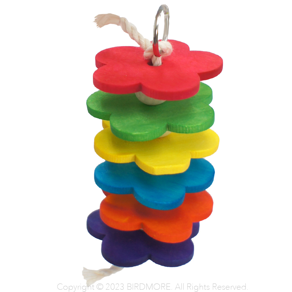 9999079【gift of sky】フラワーマーチ