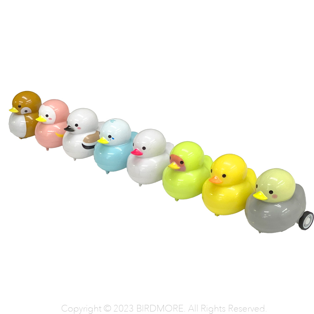 9999099 ☆ことりちゃん プルバックカー 1個 鳥専門店 BIRD MORE