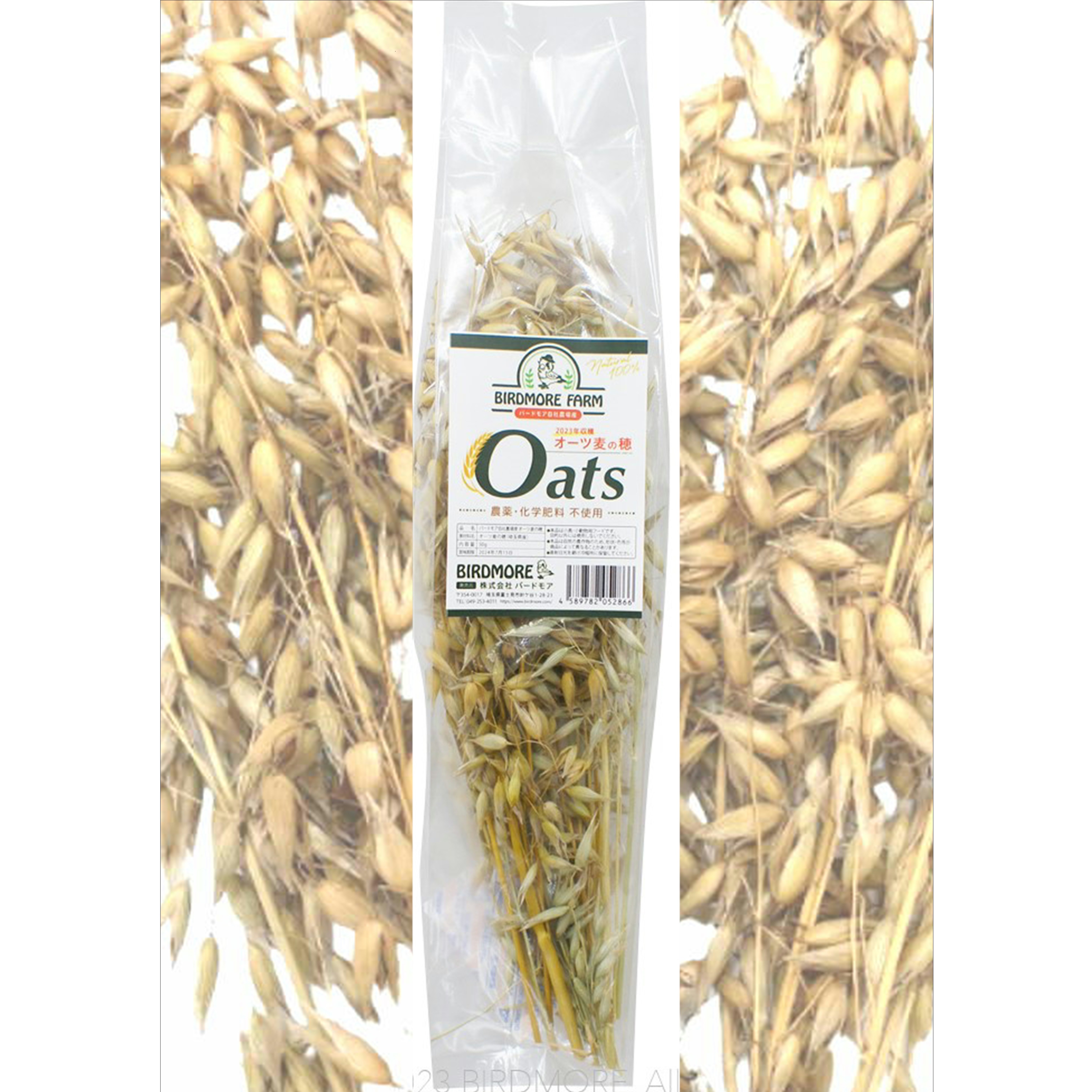 9999101【バードモアファーム】オーツ麦の穂 50g（農薬・化学肥料不使用）脱酸素パッケージ