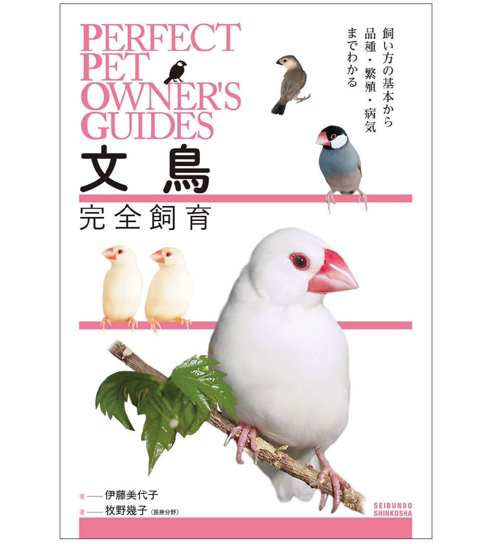 9999130【誠文堂新光社】文鳥完全飼育◇ 鳥専門店 BIRD MORE