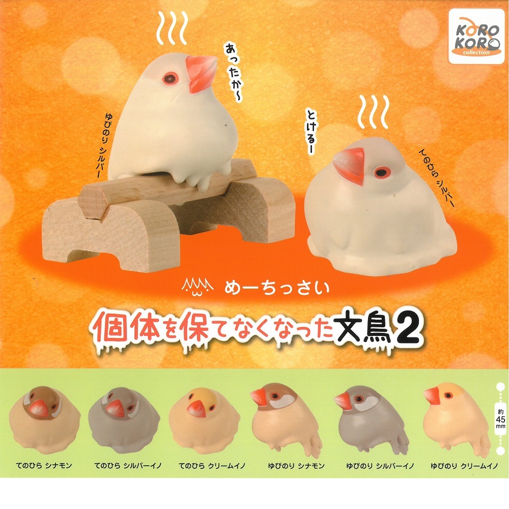 9999360【アイピーフォー】めーちっさい 個体を保てなくなった文鳥2