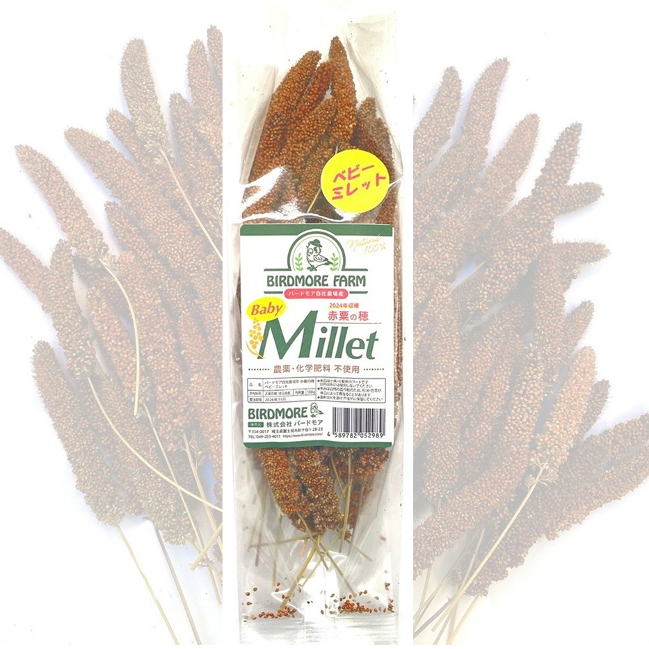 9999399【バードモアファーム】ベビーミレット 小さな赤粟の穂 100g（自社栽培・農薬&化学肥料不使用）脱酸素パッケージ