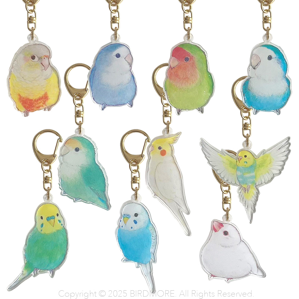 9999554【aoamo】アクリルキーホルダー 鳥専門店 BIRD MORE