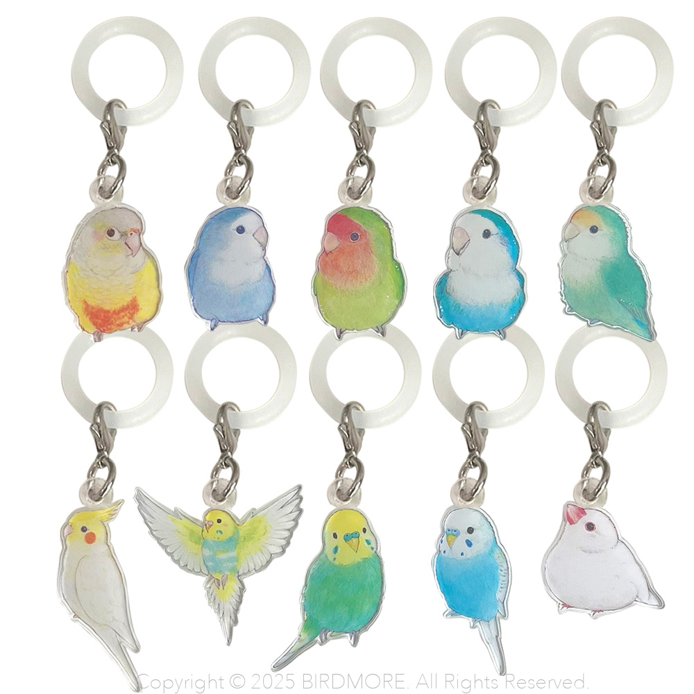 9999555【aoamo】アンブレラマーカー 鳥専門店 BIRD MORE