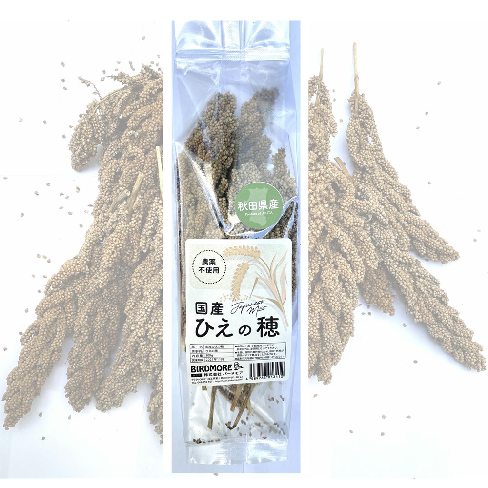 9999606【秋田産】国産ひえの穂　農薬不使用　100g