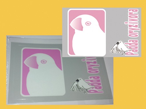 【まぢかるどりぃまぁ】カードサイズシール/文鳥・白◆