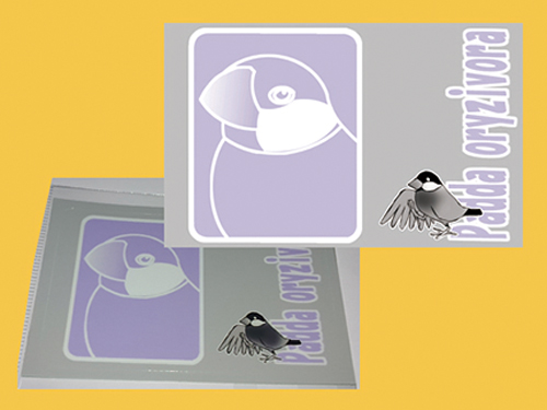 【まぢかるどりぃまぁ】カードサイズシール/文鳥・桜◆