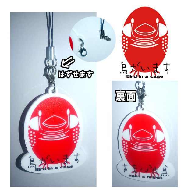 9992207【BIRDMORE】withアクリルキャリーM・中型用 鳥専門店 BIRD MORE