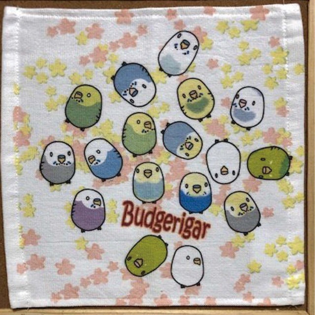 【まぢかるどりぃまぁ】ハンドタオルM/セキセイインコ
