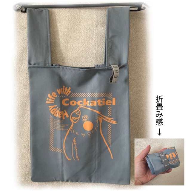 【まぢかるどりぃまぁ】ディリートート