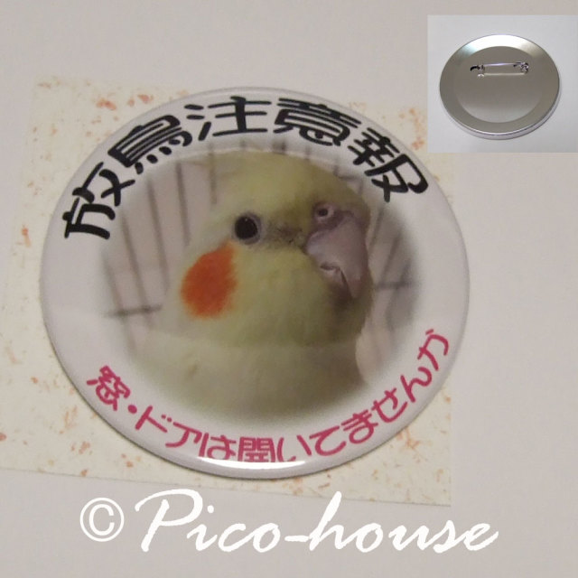 【ぴこはうす】缶バッジ/オカメA◆