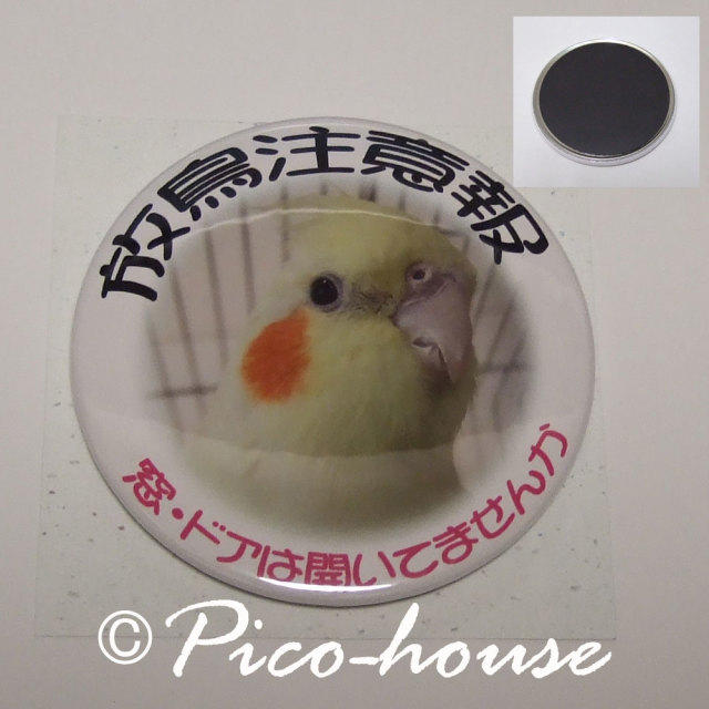 【ぴこはうす】缶マグネット/オカメA◆