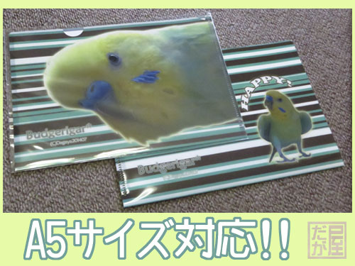 【だが屋】★A5クリアファイル/セキセイ・パステルグリーン系◆