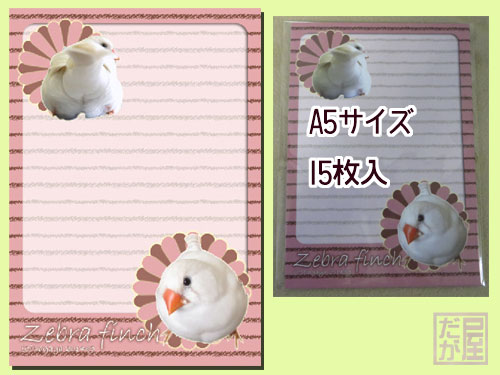 【だが屋】A5びんせん/キンカチョウ◆