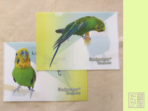 【だが屋】A4クリアファイル/セキセイインコ◆
