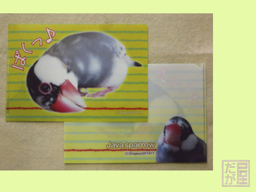 【だが屋】A5クリアファイル/文鳥・桜◆