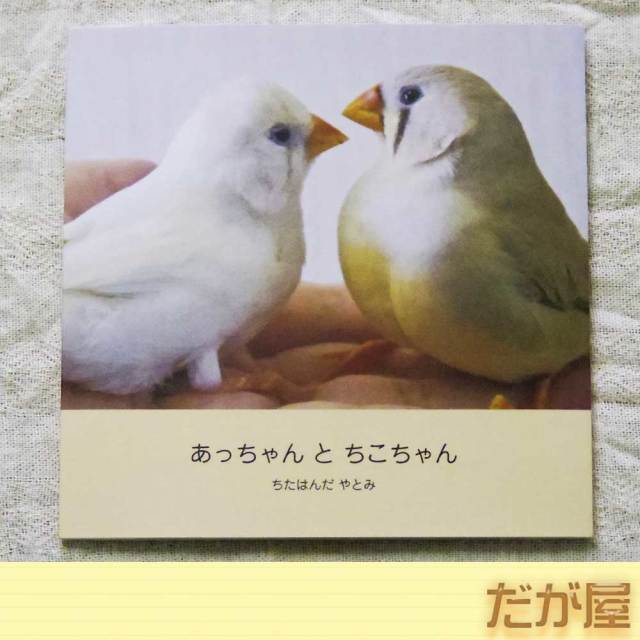 【だが屋】写真同人誌・あっちゃんとちこちゃん/キンカチョウ◆