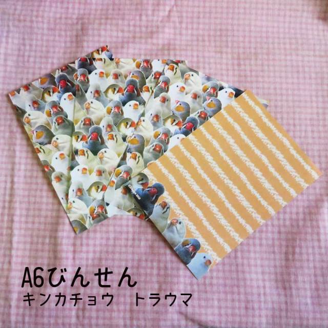 HOEI ハートフルハウス L 鳥かご　2個 Amazon | ホーエイ HOハートフルハウス L サイズ | HOEI