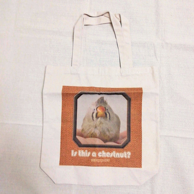 値下【超レア】一品ものカンボジア　手彫り　雛鳥を守る親鳥 だが屋】☆トートバッグ/キンカチョウ8・くりキンカ 鳥専門店