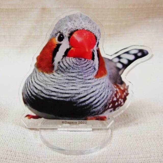 Feather Tail】携帯クリーナー3/キンカチョウ◇ 鳥専門店 BIRD MORE