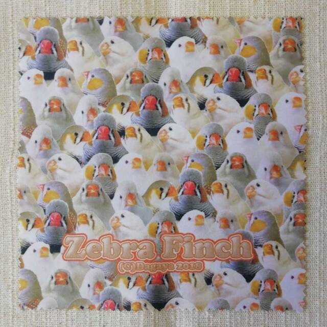 【だが屋】めがねふき/キンカチョウ