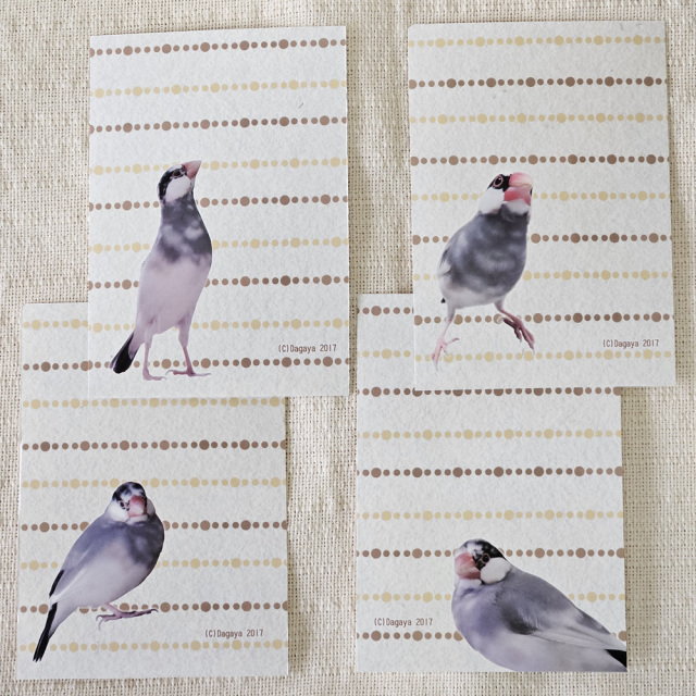 【だが屋】メモセット/文鳥・4柄