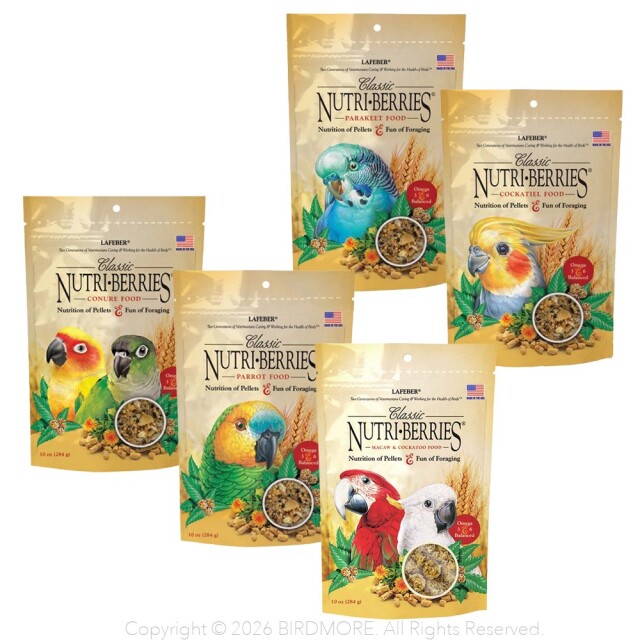 9990148【ラフィーバー】ニュートリベリーズ/パラキート用約284g