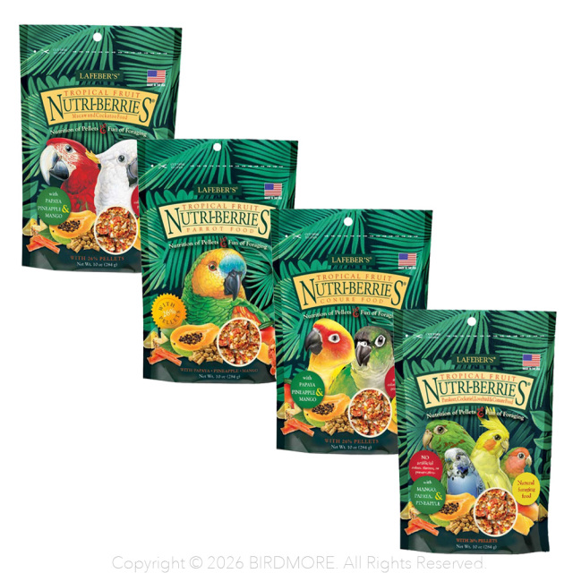 9990154【ラフィーバー】トロピカルフルーツ　4種類