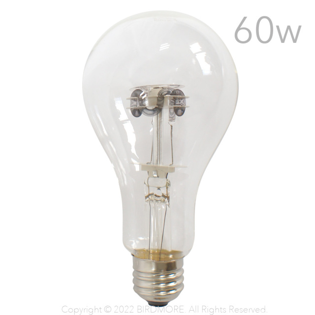 9990262【アサヒ】保温電球 60W 鳥専門店 BIRD MORE